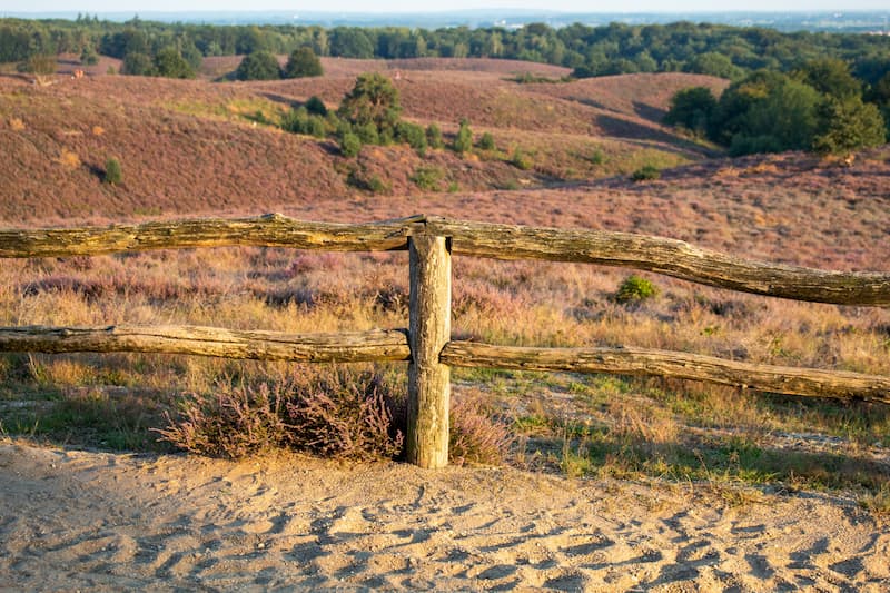 Veluwe Nederland